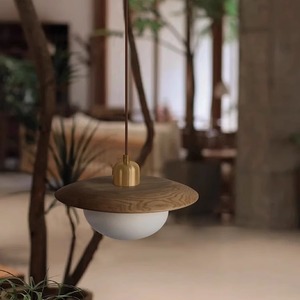 Lámpara colgante de estilo retro LED E27 redonda de una sola cabeza para iluminación de restaurante, bar o mostrador. - Product Image 3