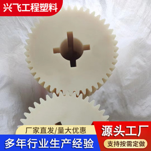 Engranajes de Nylon Personalizados 01, Engranaje Recto de Plástico Blanco, Pieza Mecánica para Uso Industrial - Product Image 2