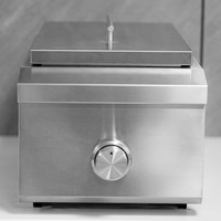 Multi-fonction Durable Moderne SS SUS 304 Acier Inoxydable Intégré Barbecue BBQ Cabinet Cuisson Gaz Brûleur Simple Côté Sans Fumée