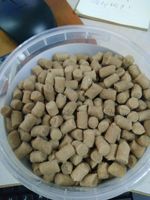 Mesin Ekstrusi Makanan Anjing Otomatis 1ton/jam dari Baja Tahan Karat untuk Industri, Ekstruder Makanan Hewan Peliharaan