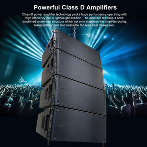 Amplificateurs de classe D puissants contrôlés par DSP actif Hdl20AA, double caisson de basses, haut-parleurs professionnels à ligne acoustique double de 10 pouces - Product Image 6