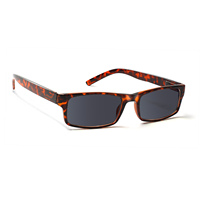 Lunettes de lecture anti-lumière bleue teintées gris personnalisées pour hommes et femmes, légères, en polycarbonate, pour presbytes, multicolores, unisexes