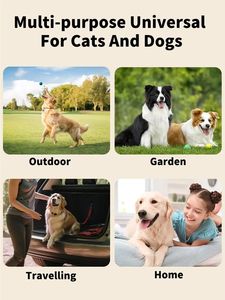 Vente en gros usine : Nouvelles <span class=keywords><strong>lingettes</strong></span> multi-usages <span class=keywords><strong>pour</strong></span> animaux de compagnie (chiens et chats) – Séchage rapide, <span class=keywords><strong>nettoyage</strong></span>, désodorisation et toilettage – Produit phare à succès - Product Image 6