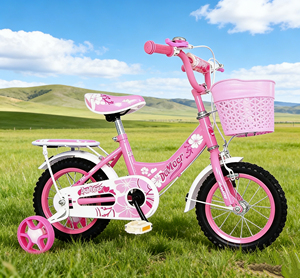 Vélo à pédales pour enfants de 12 à 20 pouces, vélo pour tout-petits de 2 à 4 à 6 ans, garçons et filles, fourche en acier, spécialisé dans la personnalisation - Product Image 5