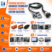 Harness Kabel Otomotif Universal Profesional HZEMS, Konektor ECU Kustom, Kotak Canbus Mobil, Harness Kabel, Pasokan Pabrik Dongguan