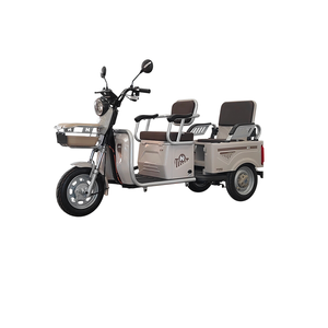 Nouveau et populaire <span class=keywords><strong>tricycle</strong></span> électrique de loisirs urbains Véhicule touristique urbain multifonctionnel utilisé pour le transport de marchandises par des adultes - Product Image 6