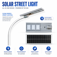 Lampe solaire à induction tout-en-un 100W, batterie intégrée, éclairage de rue, IP65, alimentation CC, utilisation routière, garantie 10 ans, télécommande, étanche en extérieur