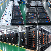 Système de Stockage d'Énergie Intelligent Hors Réseau 624-876V 100Ah 51.2kW avec Armoire de Batterie LiFePO4 IP54 Résistante aux Intempéries pour Usage Commercial