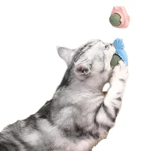 2024 New Design Pet Product Supplier Cute Cat Toys For Chew Lick Relax Wall Ball Catnip Toy For Kitten Lion Cat Catnip Ball