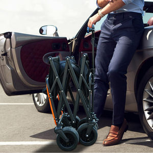 Düşük fiyat ile sıcak satış elektrikli kamp sepeti plaj vagon - Product Image 5