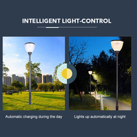 Lampu Taman LED Tenaga Surya Tahan Air IP65 Harga Kompetitif dengan Suhu Warna 3000K-6500K Pencahayaan Luar Ruangan Sepanjang Malam