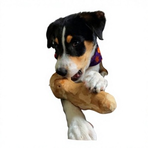 99 Gold Data Luna Eco-Friendly Rubber Dog Chew Toy with Animal <b>Print</b> Made in Dak Lak - Product Image 1