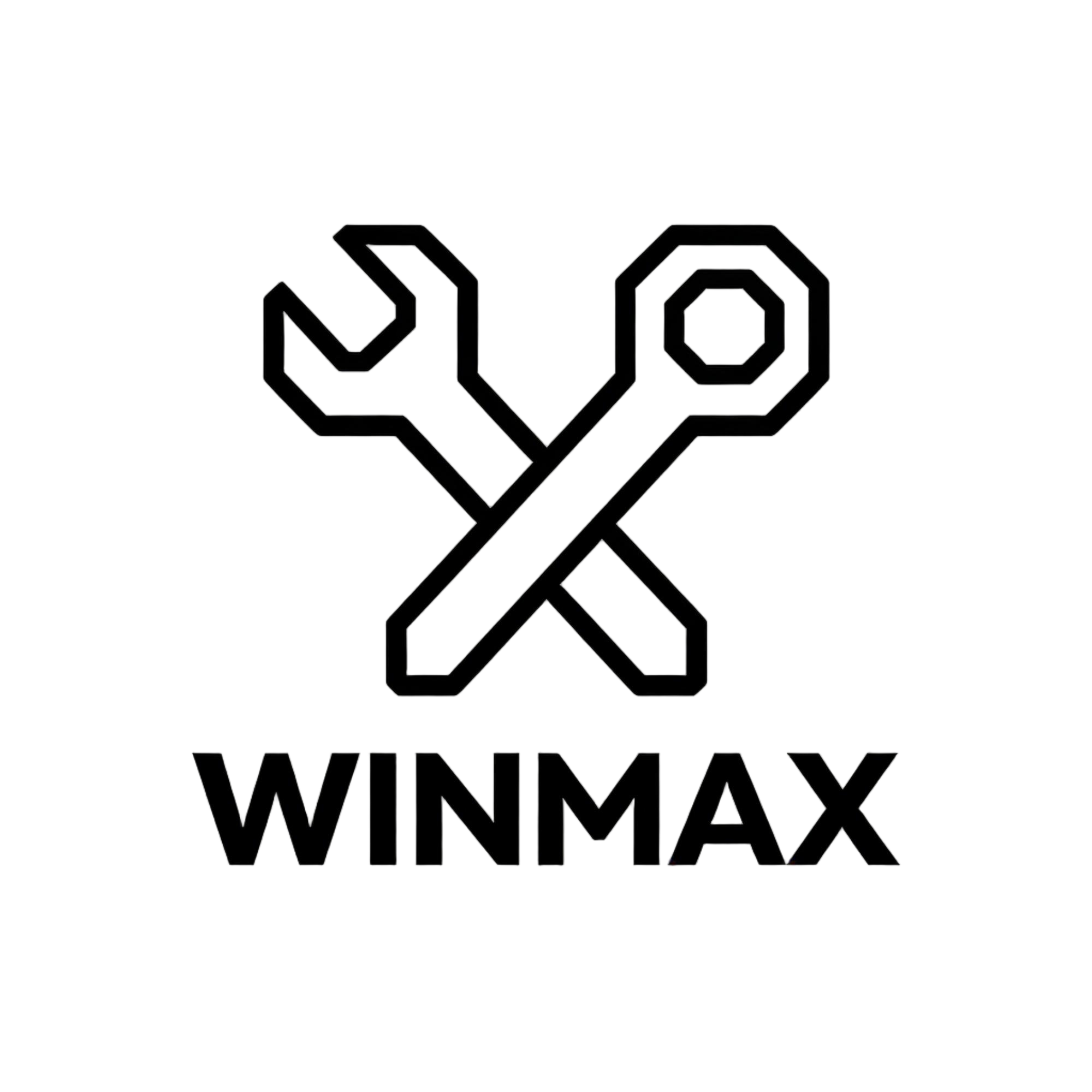 Jiangxi Winmax Industry And Trade Co., Ltd. logo