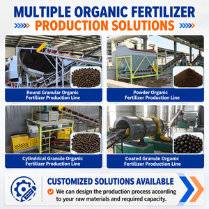 Línea <span class=keywords><strong>de</strong></span> Producción <span class=keywords><strong>de</strong></span> Fertilizantes Orgánicos Totalmente Automática para Compostaje y Granulación <span class=keywords><strong>de</strong></span> Estiércol <span class=keywords><strong>de</strong></span> Vaca, Cerdo, <span class=keywords><strong>Oveja</strong></span> y Pollo - Product Image 6