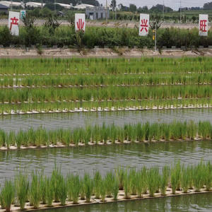 Panneau <span class=keywords><strong>de</strong></span> <span class=keywords><strong>mousse</strong></span> <span class=keywords><strong>de</strong></span> radeau flottant EVA personnalisé plaque <span class=keywords><strong>de</strong></span> <span class=keywords><strong>mousse</strong></span> <span class=keywords><strong>de</strong></span> croissance XPS conseil pour système <span class=keywords><strong>de</strong></span> culture <span class=keywords><strong>de</strong></span> légumes hydroponiques - Product Image 6