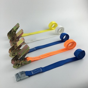 2 Inch 25mm Cam Buckle <strong>Tie</strong> <strong>Down</strong> <strong>Strap</strong> Endless With Silicone Protector Padded Luggage Ratchet Belt - Product Image 1