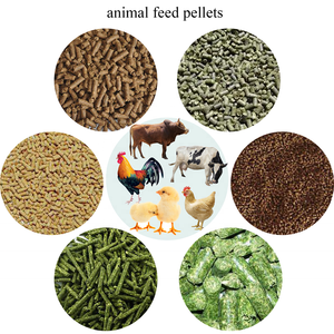 <span class=keywords><strong>Machine</strong></span> à granulés automatique Rongda 5-7T/H pour aliments pour lapins, poissons, volailles, poulets et bétail - Product Image 6