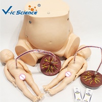 Simulateur d'accouchement avancé avec modèle de dilatation cervicale en 5 étapes pour laboratoire de compétences obstétricales CE ISO ROHS CNAS