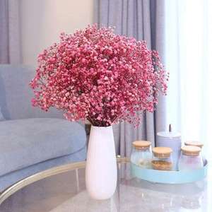 Fleurs <span class=keywords><strong>de</strong></span> Gypsophile Séchées <span class=keywords><strong>en</strong></span> Promotion – Bouquets Naturels et Authentiques pour Mariages et Décoration Intérieure - Product Image 5