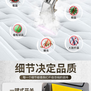 Limpiador a Vapor Multifuncional con Succión para Telas, Sofás, Alfombras, Colchones y Cortinas - Product Image 4