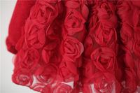 Robe de princesse pour bébé fille, rose rouge 3D, manches longues, tenue de fête d'anniversaire pour tout-petits, automne