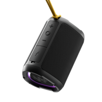 W-King D110 Enceinte sans fil 15W, enceinte portable, mini enceinte avec lumières RGB, étanche IPX7, TWS, TF/AUX