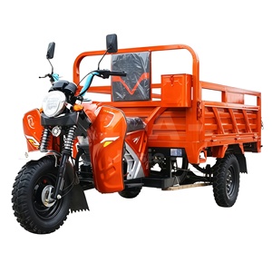 Triciclo de Carga con Motor de Gasolina de 300cc para Adultos, con Gran Capacidad de Subida a 20 Grados - Product Image 1