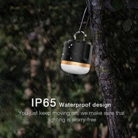 Lanterne extérieure rechargeable de mini lampe de camping portative de LED pour la lampe de poche suspendue de camp et de panne avec la caractéristique de lumière de secours