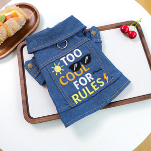Ropa para mascotas para otoño e invierno, perros pequeños, cachorros, perros y gatos felices, ropa cálida y cómoda, mezclilla única - Product Image 4