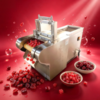 Hoge kwaliteit mango rozijn snijmachine/geconserveerde fruitblokjes snijmachine/gedroogde bessen snijmachine