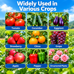<span class=keywords><strong>Insecticida</strong></span> HYH Bifenazate 43% SC para Frutas y Verduras, contra el Ácaro Araña, en Botellas de HDPE de 500ml, 1L y 5L - Product Image 4