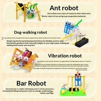 Kit robot électrique 10-en-1, robot rampant DIY, kit robot à moteur électrique, expérience scientifique et jouet éducatif