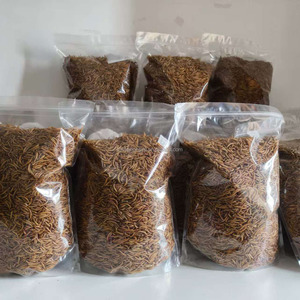 Não-OGM Mealworms Secas 350g Tratar para Répteis Peixe Aves Animais - Product Image 6