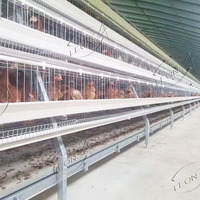 Équipement de machines agricoles à bas prix Un type Cages à poulet de couche pour la ferme avicole de poulailler