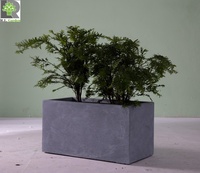 Jardinières Grandes Plantes d'Intérieur et d'Extérieur Rectangle Fibre Argile Jardinières Béton Fleurs Ciment Jardinières