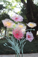 Set Bunga Poppy Tersedia dalam Berbagai Warna, Cocok untuk Latar Belakang Pernikahan, Hotel, Pusat Perbelanjaan, dan Pesta Taman.