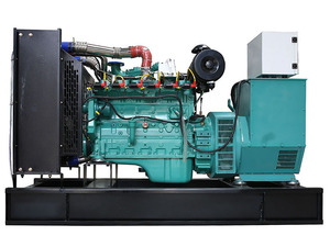 Centrale électrique à bois 15kW 20kW 30kW, groupe électrogène à gaz de paille et biomasse à vendre HTG-15GF/HTG-20GF/HTG-30GF - Product Image 6