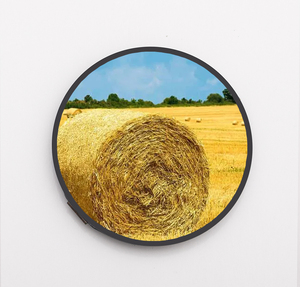 Layar AMOLED QSPI Bundar 1,50 Inci 466*466 Panel AMOLED - Product Image 5