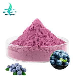 Chất lượng cao chăm sóc mắt tầm nhìn bảo vệ Blueberry chiết xuất blueberry bột