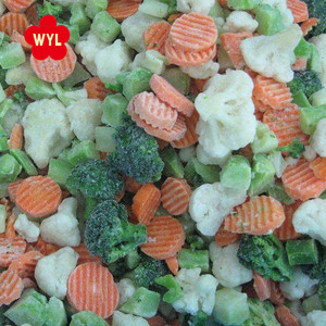 Mua số lượng lớn rau trộn đông lạnh đầy màu sắc bổ dưỡng cho dịch vụ ăn uống - Product Image 3