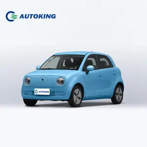 Fashion White Ev Suv Pure Electric Mini Ora Black Cat Auto elettrica a quattro ruote