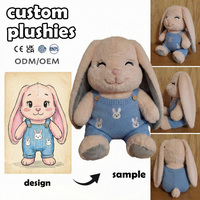 Fabricant et Fournisseur de Jouets en Peluche Personnalisés : Porte-monnaie Garçon Star-bunny-hat Très Réduit, Marchandises d'Anime pour Café, Peluches Personnalisées