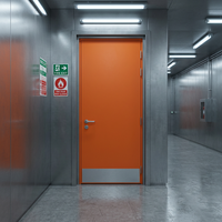 Portes Industrielles en Acier au Design Moderne, Ignifuges, Sécurité Renforcée, Vente Directe Usine, Personnalisables, Surface Finie, Prévention Incendie