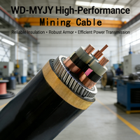 Câble minier industriel blindé WD-MYJY WD-MYJY43 en cuivre isolé XLPE, faible émission de fumée, sans halogène, pour l'alimentation des mines souterraines