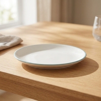 Assiette de service ronde en mélamine de 9 pouces avec rebord, durable, de haute qualité, personnalisable, polie pour les fêtes