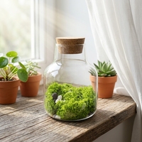 Vase en verre borosilicate de haute qualité OEM avec couvercle en liège pour plantes hydroponiques et mousse