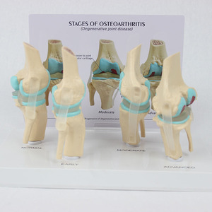 4 - Product Image 2