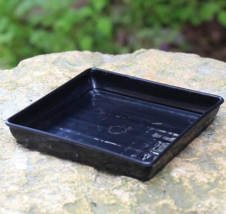 Plateaux à pots noirs