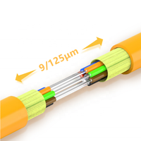 Venta Directa de Fábrica, Cable Óptico Interior GJFJH/GJFJV, Cable de Fibra Óptica Monomodo G652D G657A