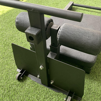Banc de musculation multifonction Nordic Curl pour fitness, noir, pour entraînement des fessiers, des ischio-jambiers et des hanches, chaise romaine de musculation